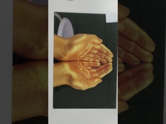 Nummer der Produktion 6