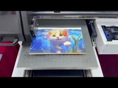 Windows- / Mac-kompatibeler Digitaldrucker für professionelles Drucken in kommerzieller Qualität