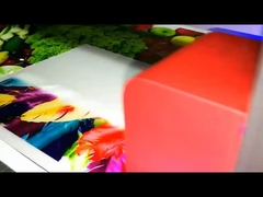 AC 110V/220V Leistung UV-LED-Drucker Ultraschall anpassbar