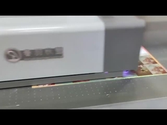 7PL/3PL UV-Flachbettdrucker in Graustufen für professionelle Fotografie