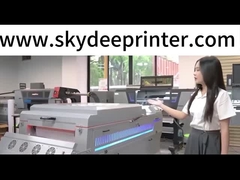 Maintop RIP Software DTF-Drucker mit 600 mm Druckbreite und unabhängiger Heiztemperaturkontrolle