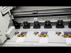 Druck DTF T-Shirt Drucker mit 4 m2 / h Geschwindigkeitsmodus und optionale Photoprint Rip Software