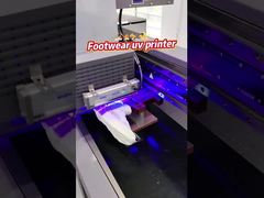 AC 220V/50Hz/60Hz Stromversorgung Single-Pass-UV-Drucker mit Ricoh Gen 5i Düse